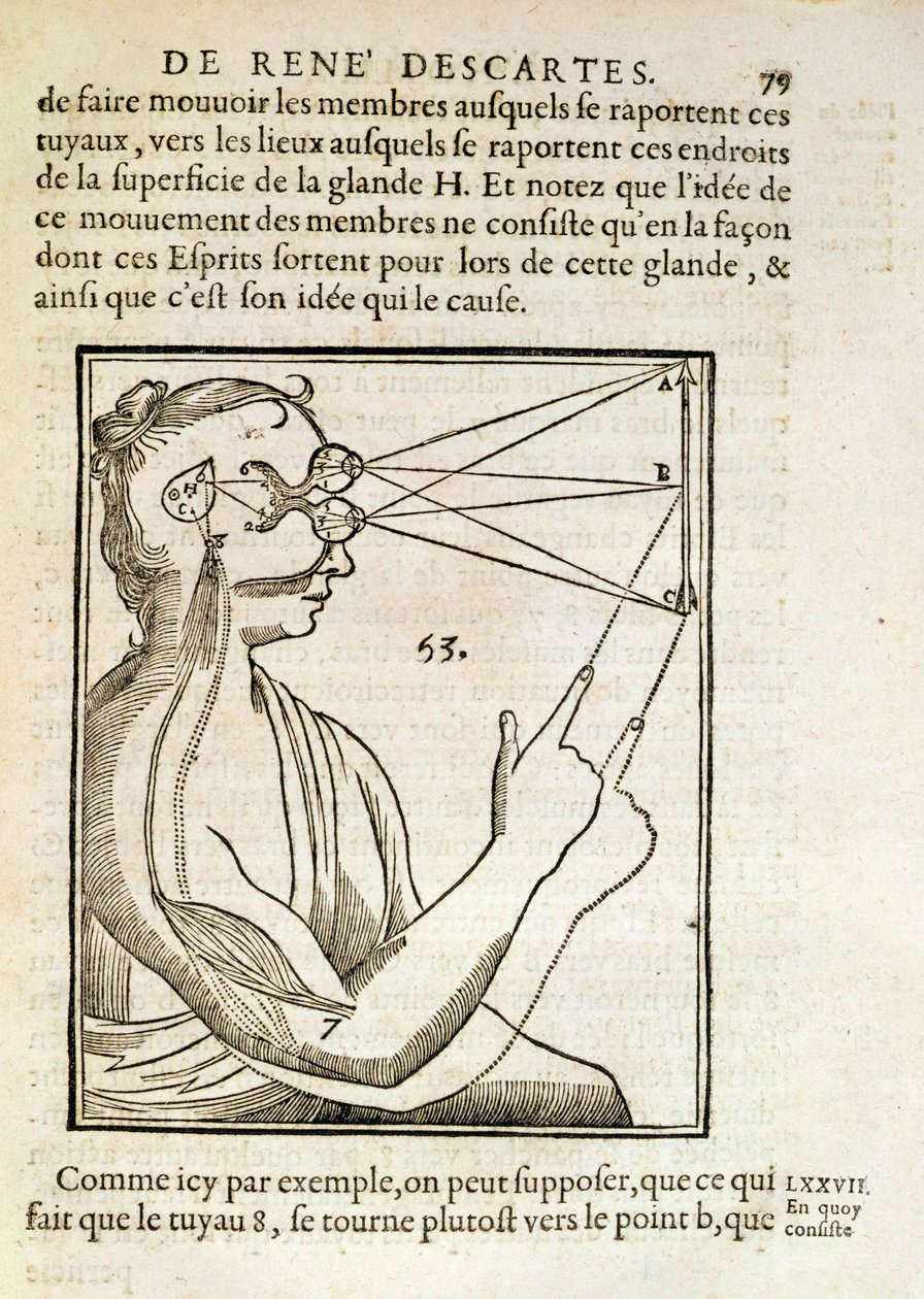Ilustrace z De Homine Figuris od René Descartese (1596-1650) publikované v Haagu, 1662 od French School