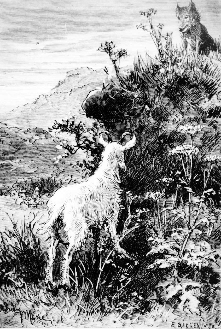 Ilustrace z kozy pana Seguinse od Alphonse Daudeta od French School