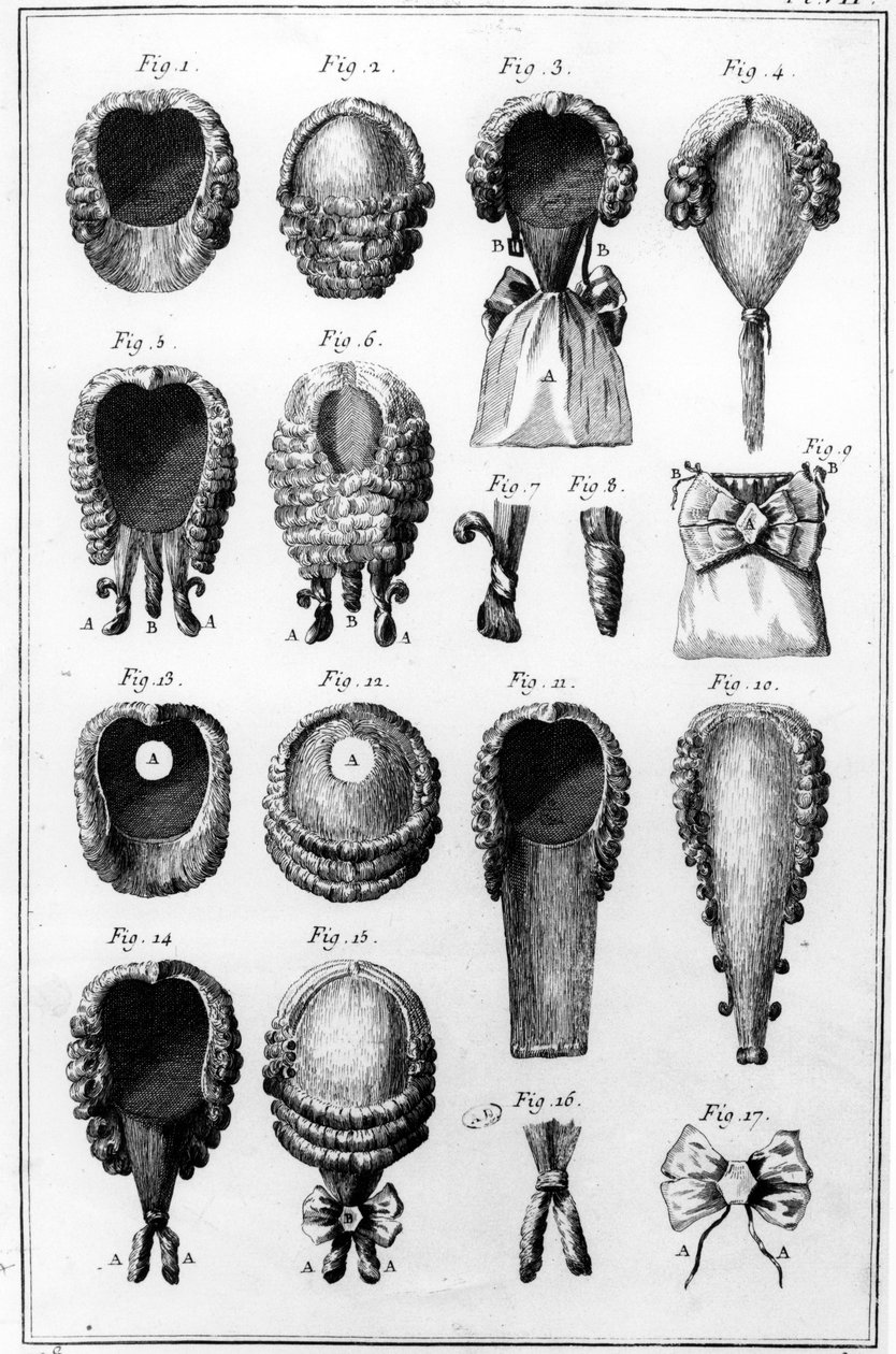 Ilustrace různých druhů paruk, deska VII, sv. 8, z Encyclopedie des Sciences et Metiers od Diderota, publikované kolem roku 1770 od French School