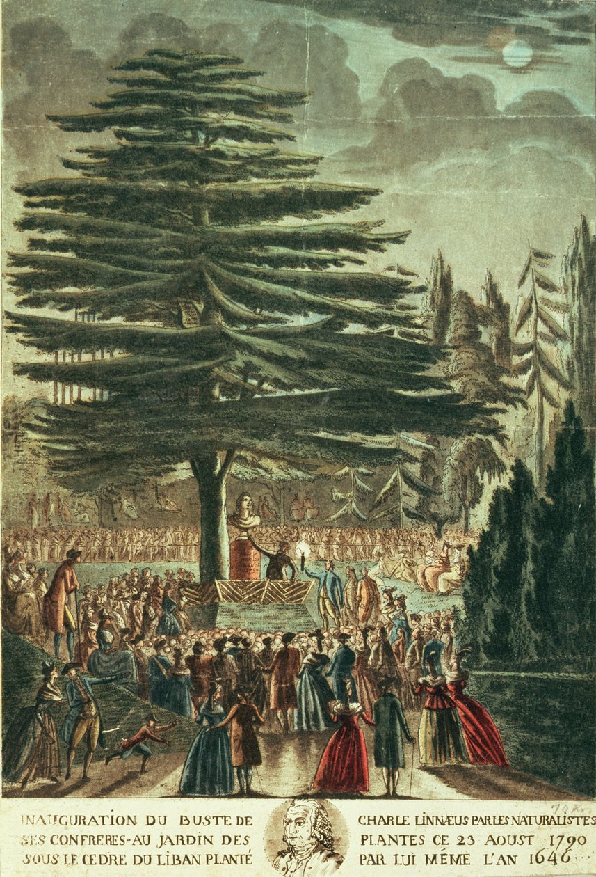 Inaugurace busty Carla Linného (1707-78) v Jardin des Plantes, pod libanonským cedrem, který zasadil v roce 1646, 23. srpna 1790 od French School
