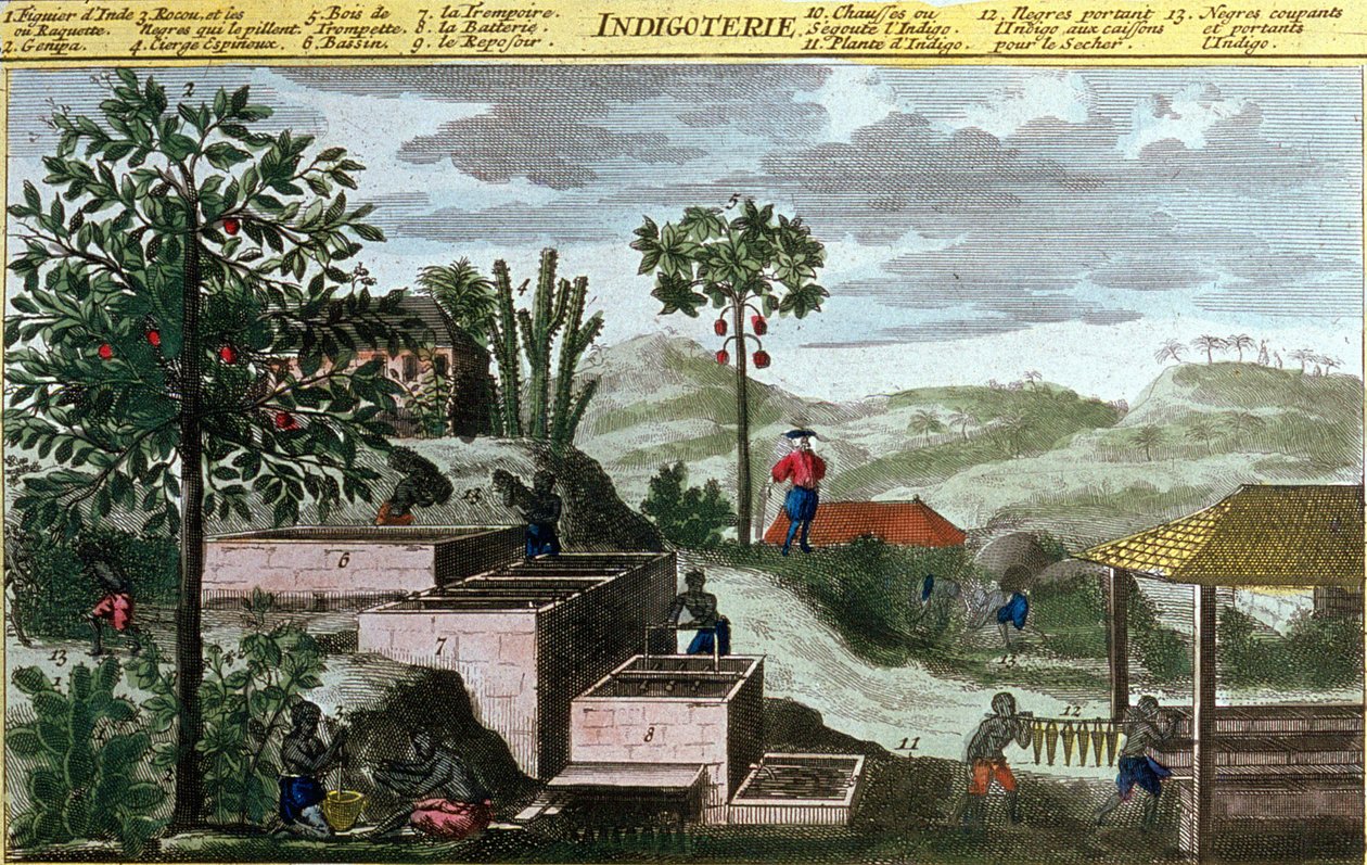 Indigoterie v Západní Indii, detail 00155 - v „“Obecné historii Antil obývaných Francouzi od Du Tertre“, počátek 19. století od French School