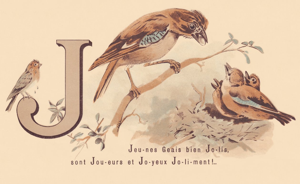 J: Young Jays Pretty are Players and Happy Jolily! od French School