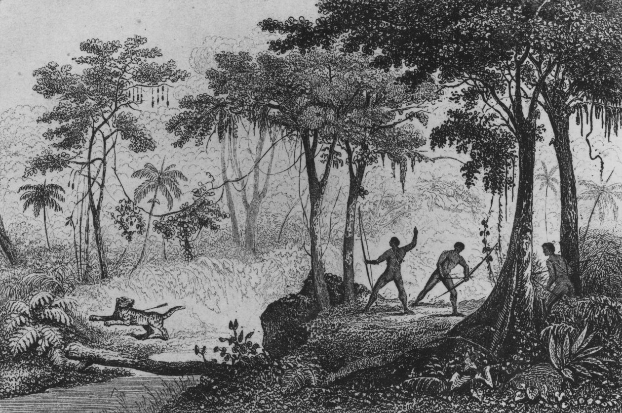 Jaguar Hunt, z 