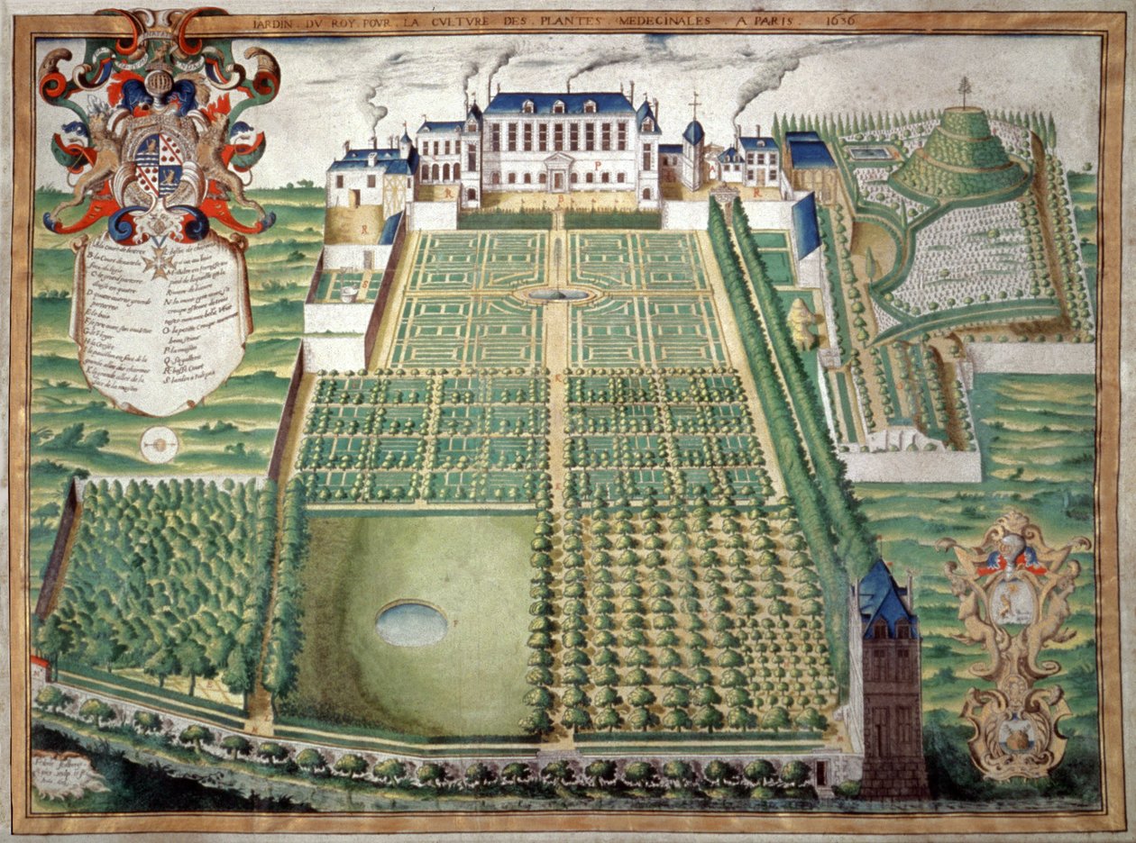 Jardin des Plantes, Paříž. 1636 (akvarel) od French School