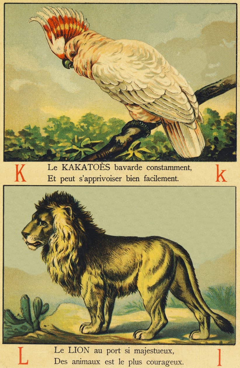 K jako Kakatoes a L jako Lion od French School