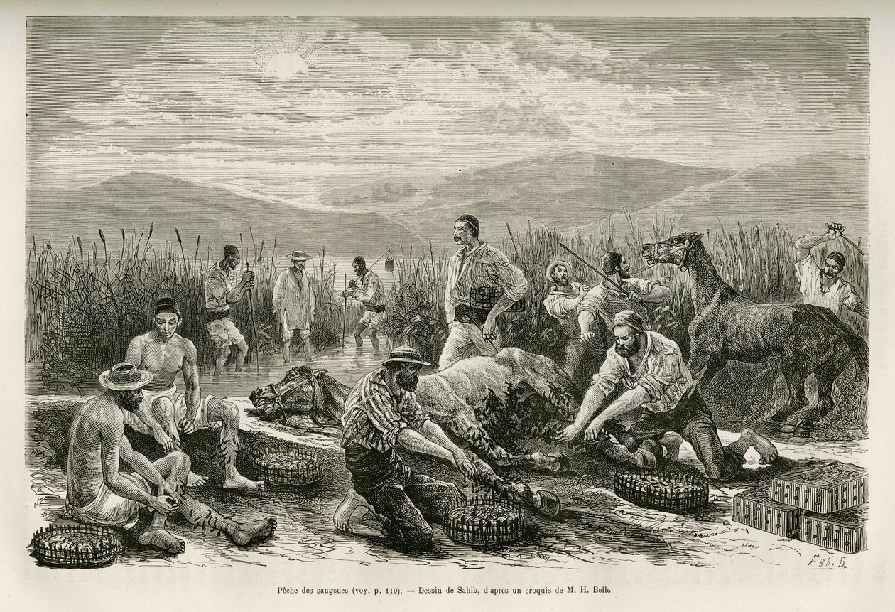 La peche des leeches, kresba Sahiba, k ilustraci příběhu Henri Belle: Voyage en Greece od French School