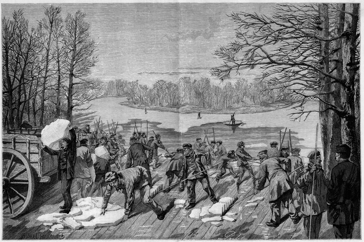 Sklizeň ledu na zamrzlých jezerech Bois de Vincennes v „The Illustrous World““ 1887. od French School