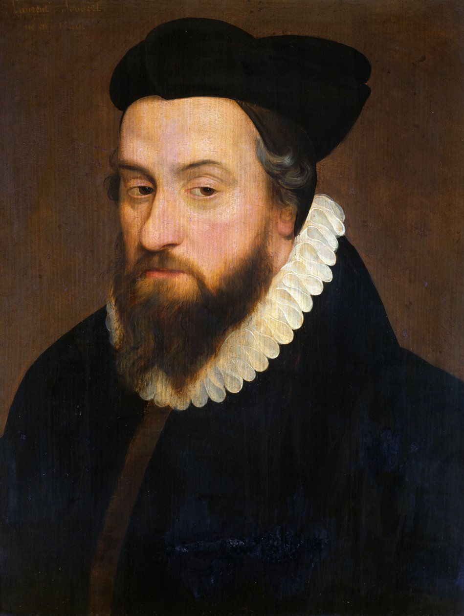 Laurent Joubert (1529–1583) od French School
