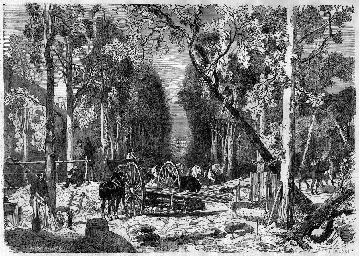 Dřevorubec v Lucemburské zahradě v Paříži v roce 1870 - rytina z roku 1870 od French School