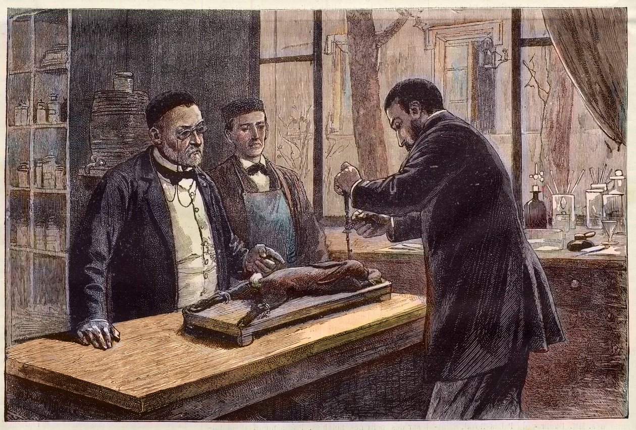 Louis Pasteur (1822-1895), francouzský chemik a mikrobiolog, experimentoval na chloroformovém králíkovi při hledání léku na vzteklinu. od French School