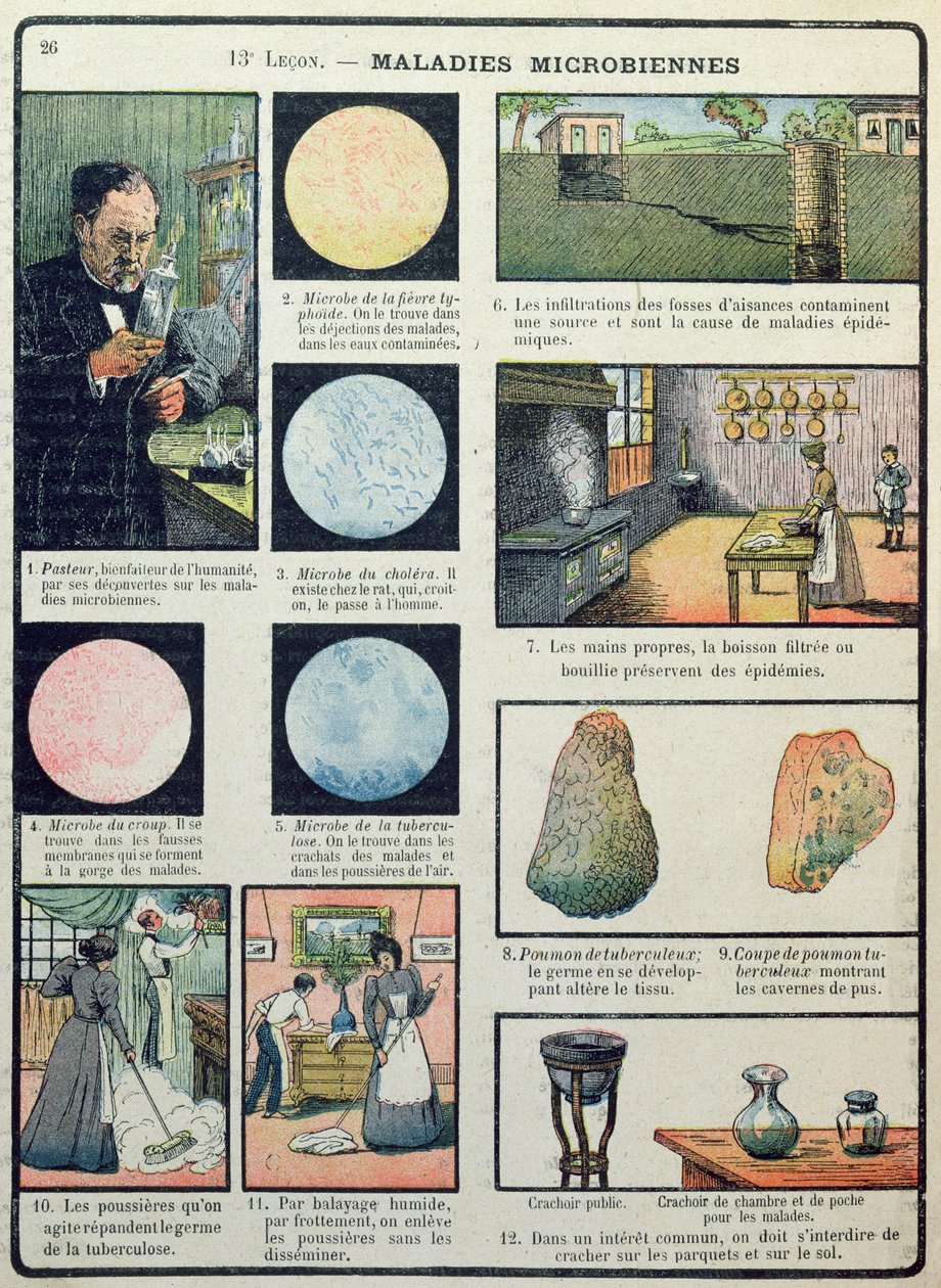 Louis Pasteur (1822-95) a bakteriální choroby, z Les Sciences Physiques et Naturelles, Paříž, 1908 od French School