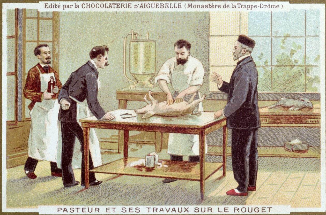 Louis Pasteur (1822-95) pracující na vyšetřování spalniček, reklamní karta pro Chocolaterie dAiguebelle od French School