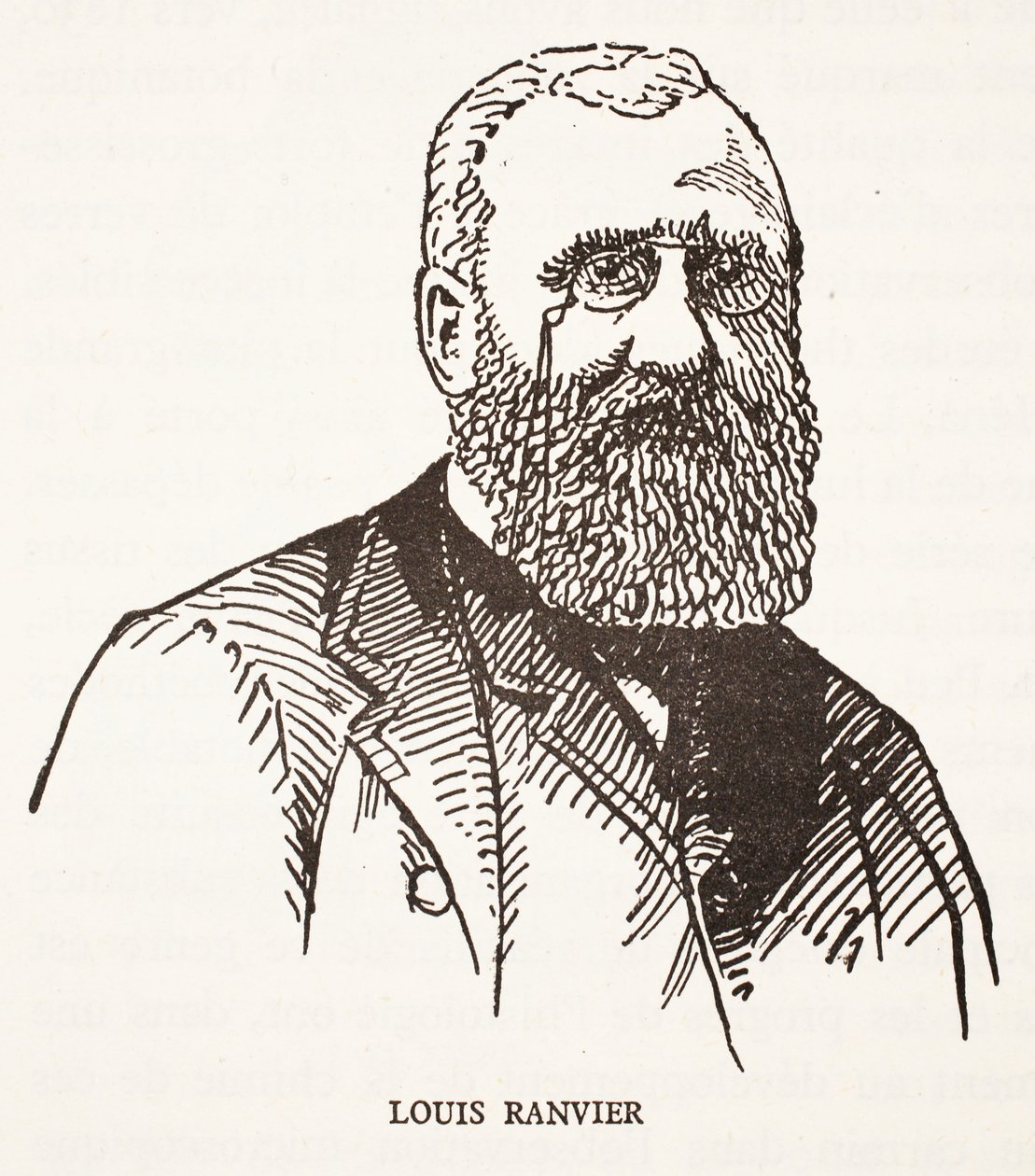 Louis Ranvier od French School