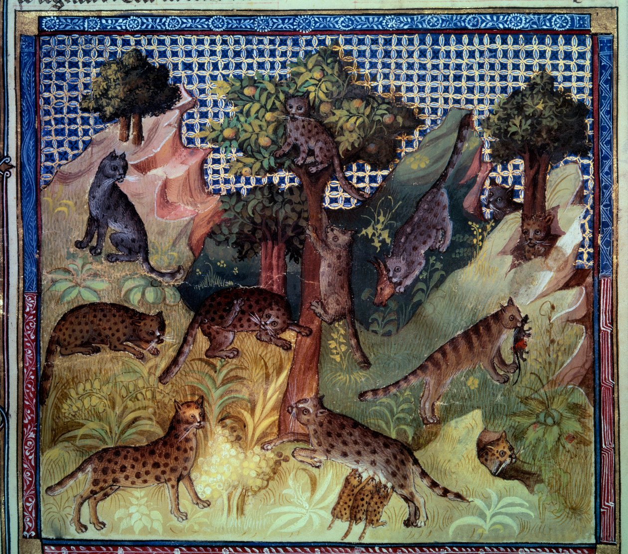 Lynx divoké kočky v horách. Miniatura z „Knihy lovu“ od Gastona III. Phoeba, hraběte z Foix, lorda z Bearnu (1331-1391) od French School