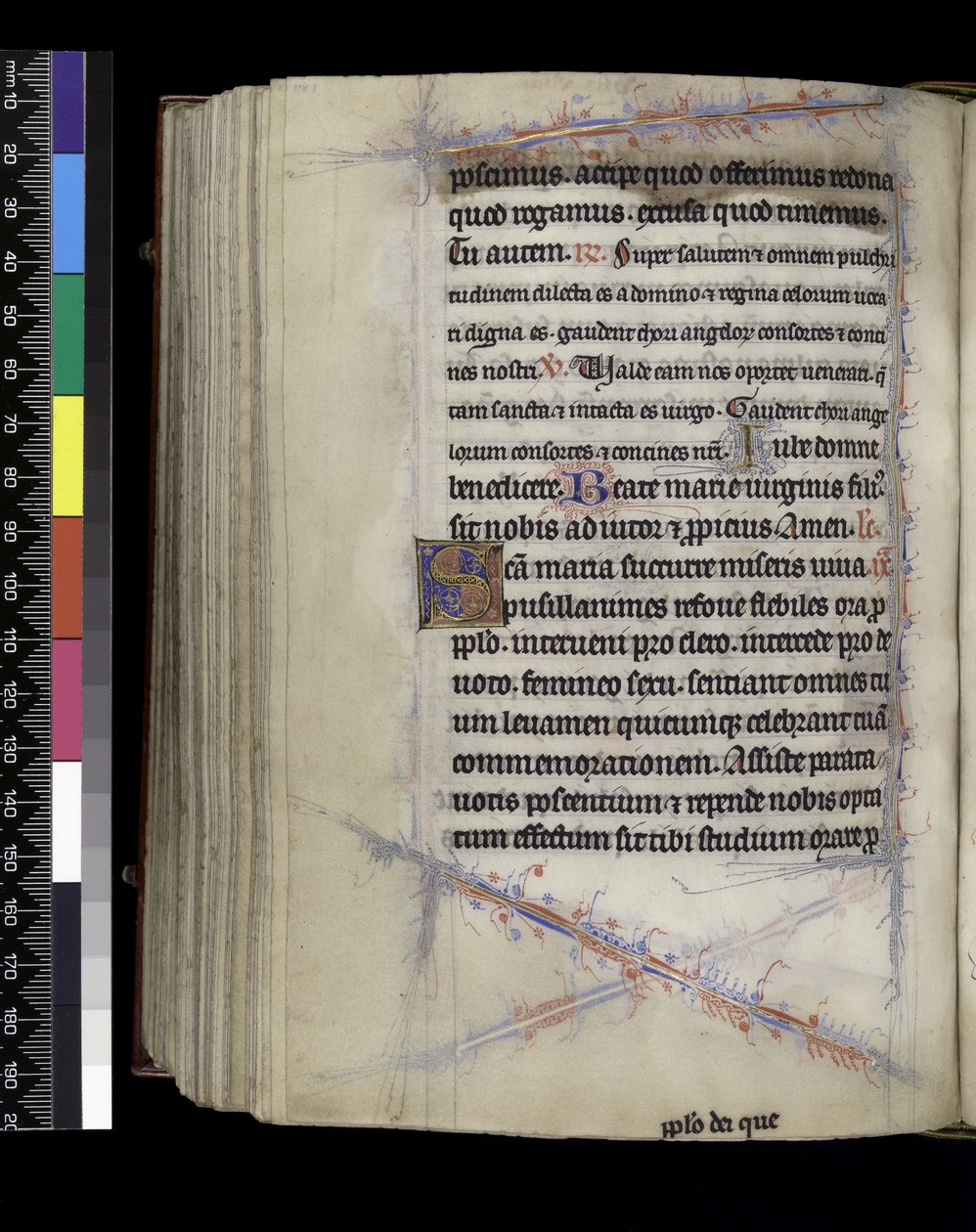 MS 300 f.189v, Matins, z žaltáře a hodin Isabely Francouzské, Paříž, c.1265-70 od French School