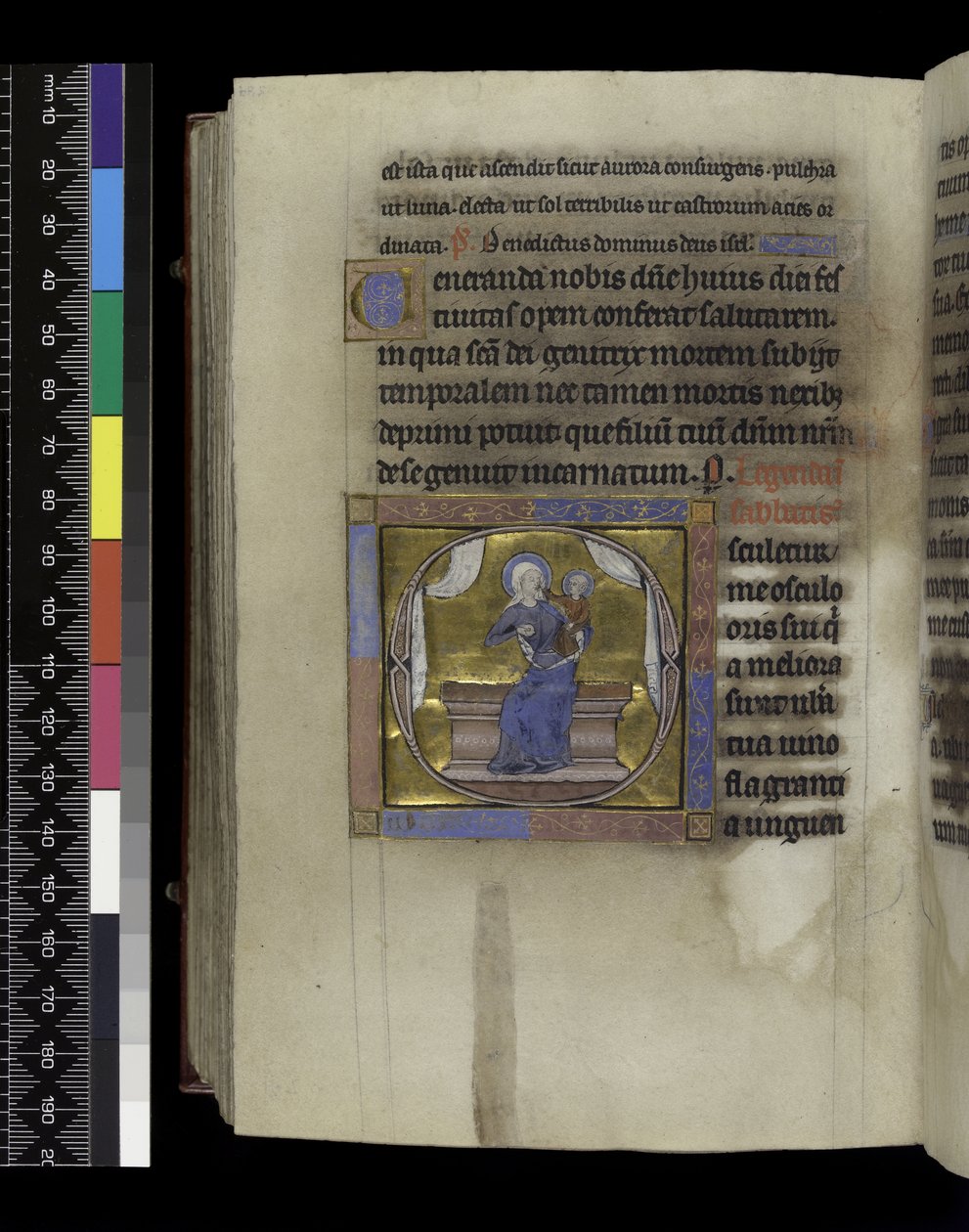 MS 300 f.284v, Píseň písní, ze Žaltáře a Hodiny Isabely Francouzské, Paříž, kolem 1265-70 (pero, inkoust a tempera na pergamenu) od French School