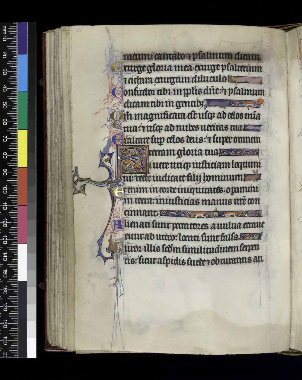 MS 300 f.61v, folio ze Žaltáře a hodin Isabely Francouzské, Paříž, kolem 1265-70 od French School