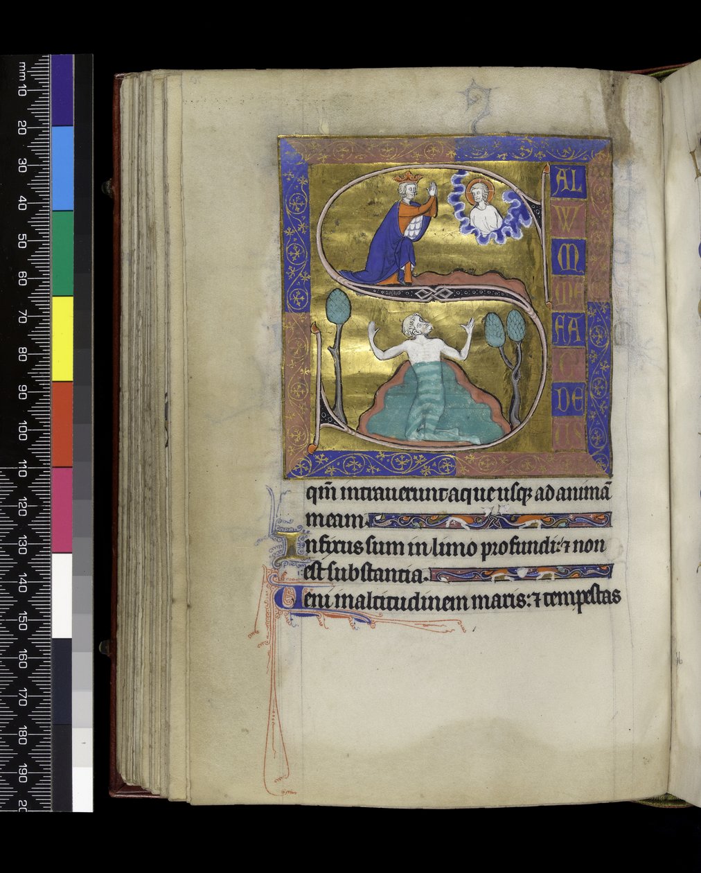 MS 300 f.70v, David se modlí k Bohu (nahoře), David se potápí ve vodě (dole), ze Žaltáře a hodin Isabely Francouzské, Paříž, kolem 1265-70 (pero & inkoust a tempera na pergamenu) od French School