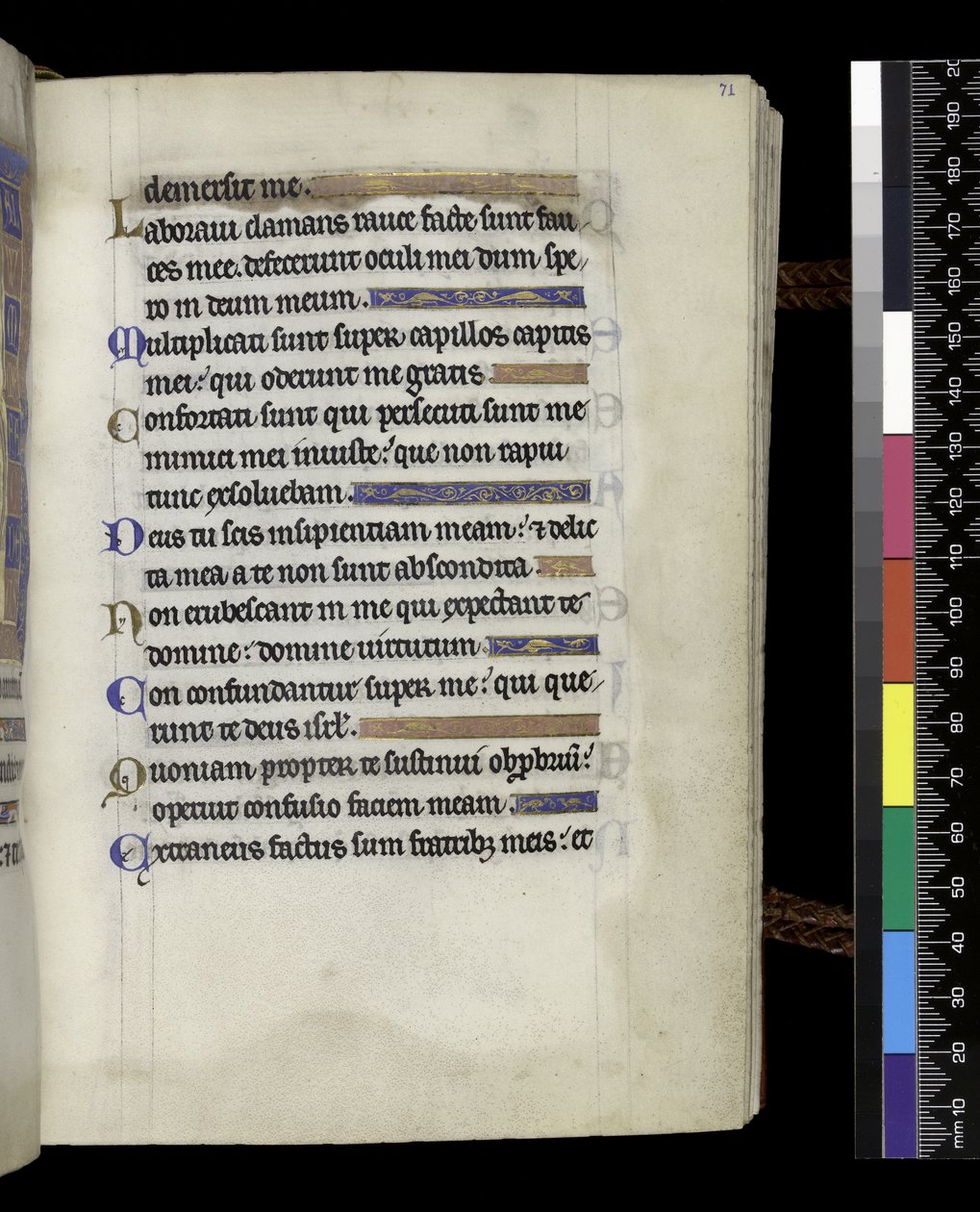 MS 300 f.71r, ze Žaltáře a hodin Isabelly Francouzské, Paříž, kolem 1265-70 (pero a tuš a tempera na pergamenu) od French School