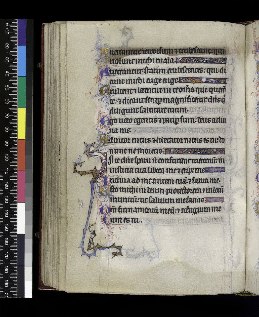 MS 300 f.73v, ze Žaltáře a hodin Isabely Francouzské, Paříž, kolem 1265-70 od French School