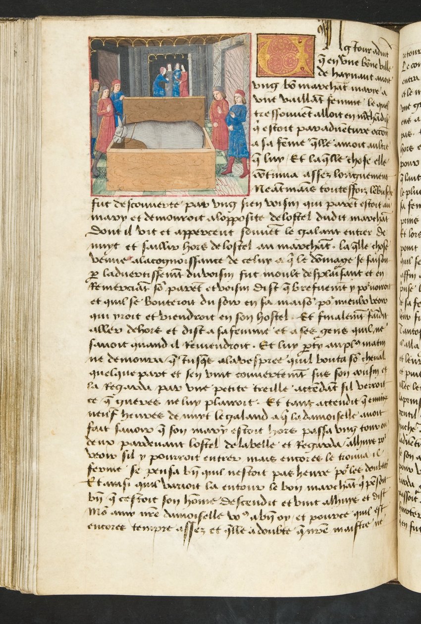 MS Hunter 252 134v Stránka z Cent Nouvelles Nouvelles, c.1461-62 od French School