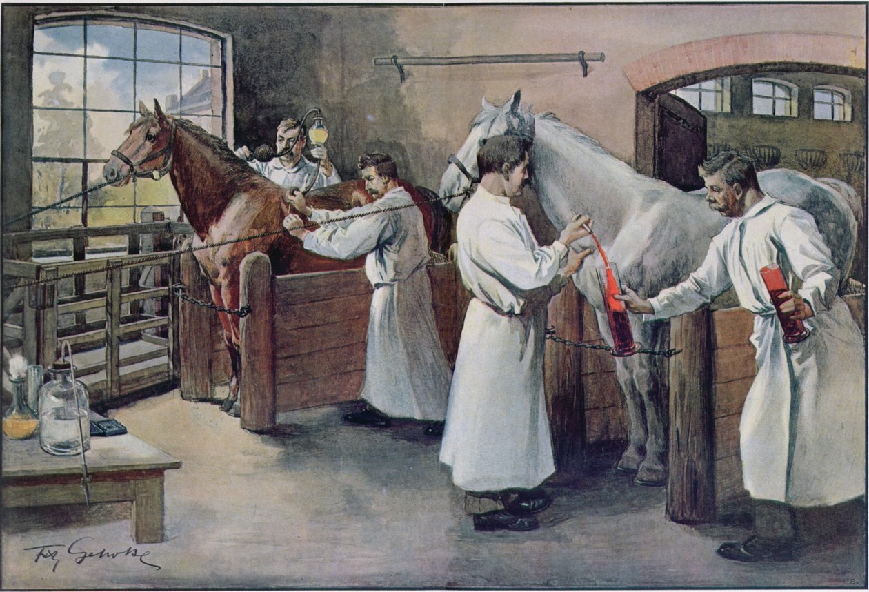 Výroba séra proti záškrtu z koňské krve, z Les Animaux, cca 1900 od French School
