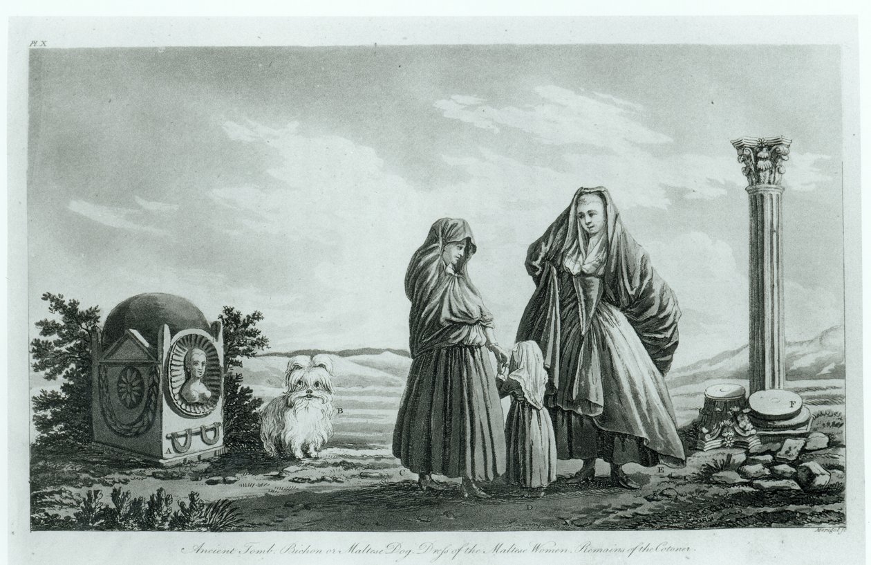 Maltské ženy, ze starověké a moderní Malty od Pierra Marie Louis de Boisgelin de Kerdu, vydáno 1805 od French School