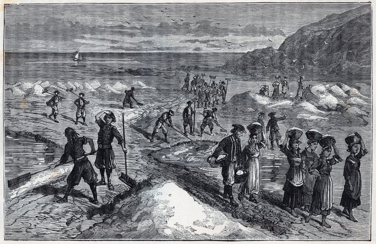 Marais salants de Bretagne v 19. století – rytina v „Vědách, které jsou vděčné za granty – fyzika a chemie“ od Alexise Clerca – konec 19. století – soukromá sbírka od French School