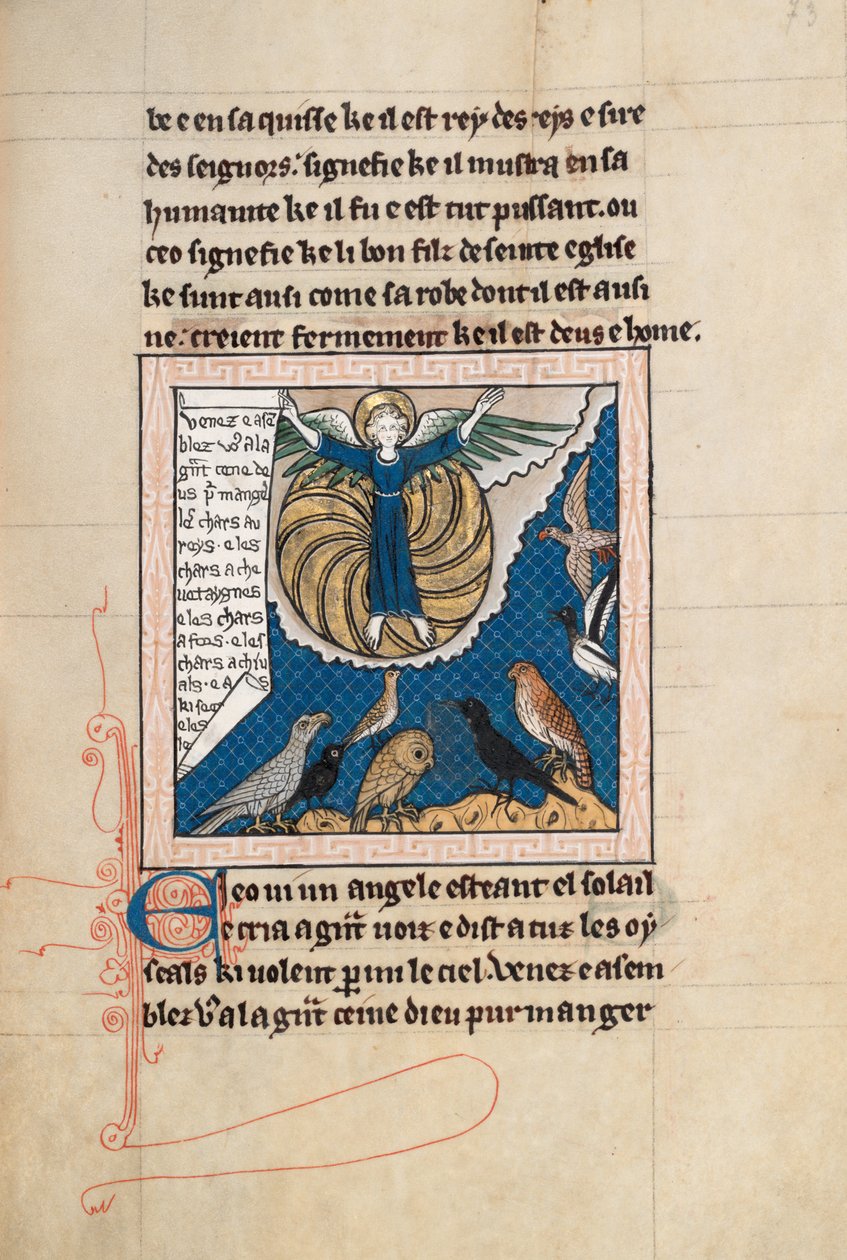 Ms65 f73r, Komentář k Apokalypse svatého Jana, konec 13. století (pero, inkoust a tempera na pergamenu) od French School