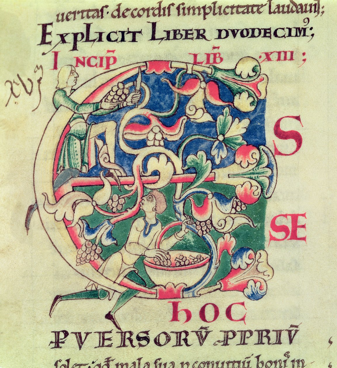 Ms 173 f.32 Historická iniciála E znázorňující sklizeň hroznů, z Moralia in Job od papeže Řehoře Velikého od French School