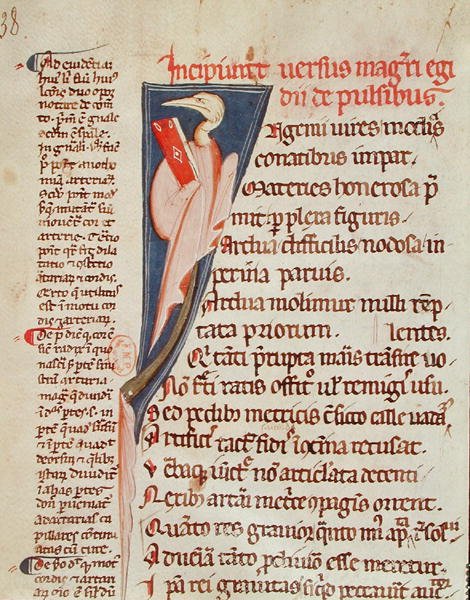 Ms 2046 fol.438 Pták držící knihu Gillese de Corbeila (1165-1222) z „Aforismů“ od Hippokrata (asi 460–377 př. n. l.) s komentářem Claudia Galena (asi 130–201) (pergamen) od French School