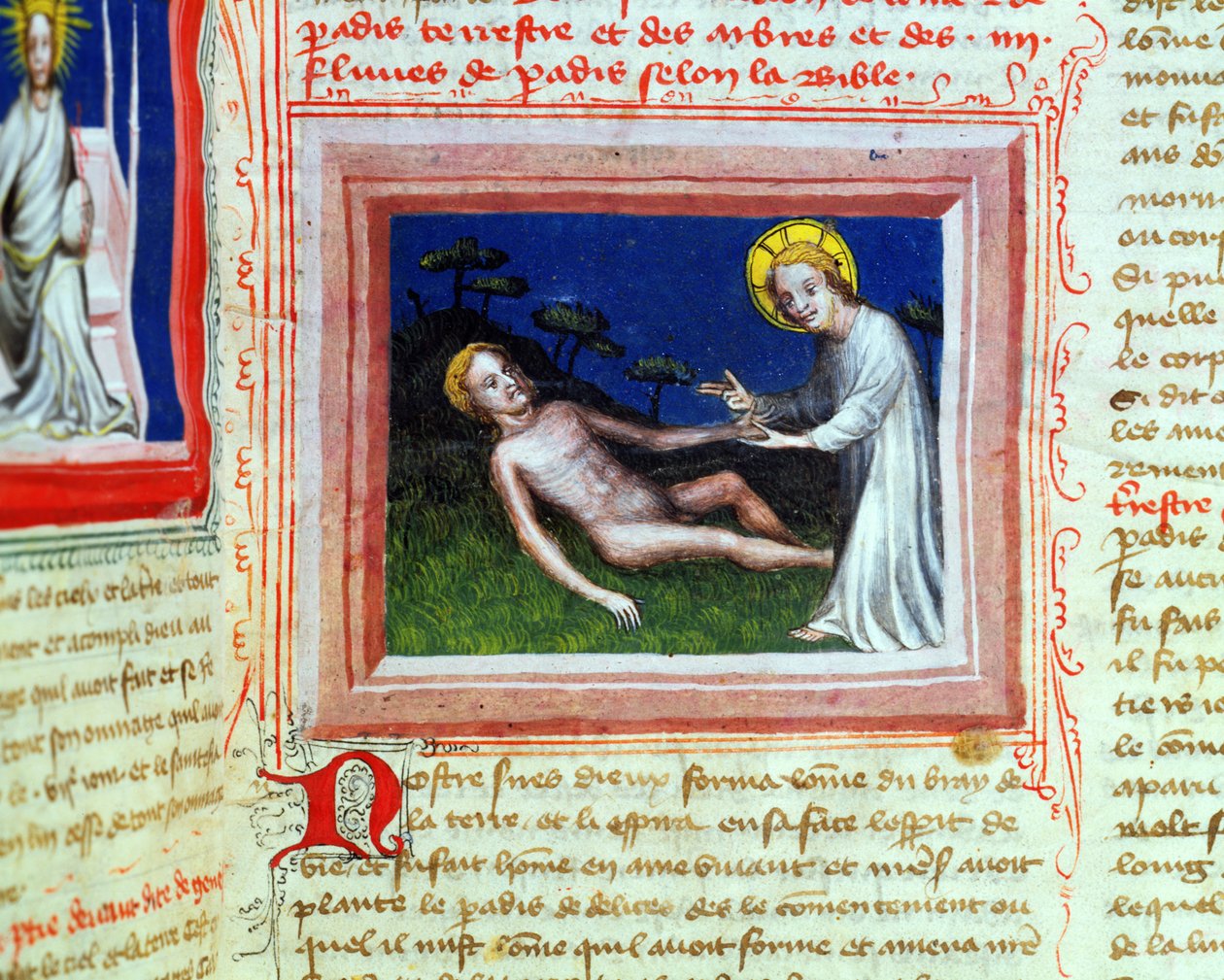 Ms 314 Creation of Adam, z Bible des Grands Augustins, 1494 od French School