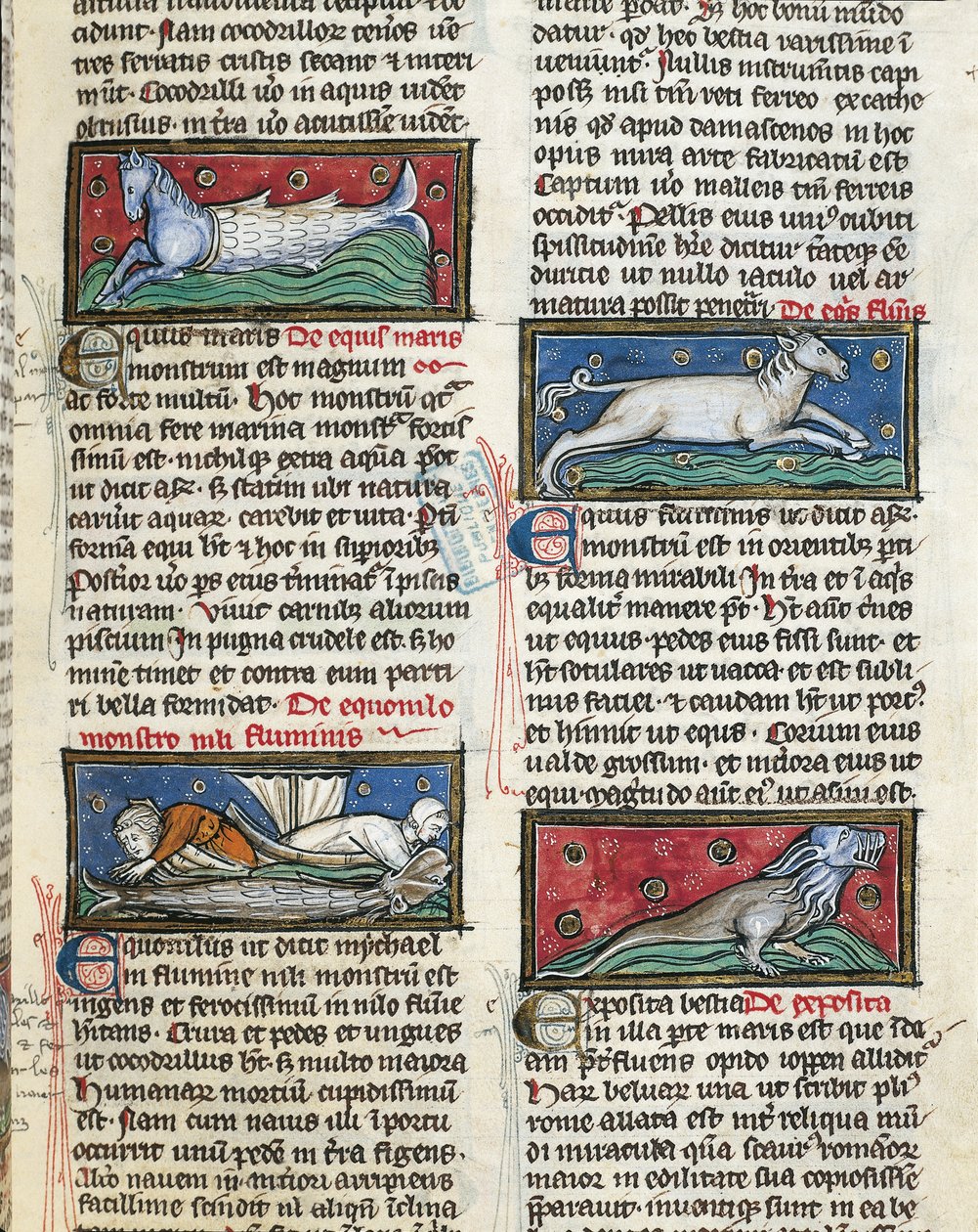 Ms 320 Fol.115r Sea Monsters, z „De Natura rerum“ od Thomase van Cantimpre (1201-72) (vellum) od French School