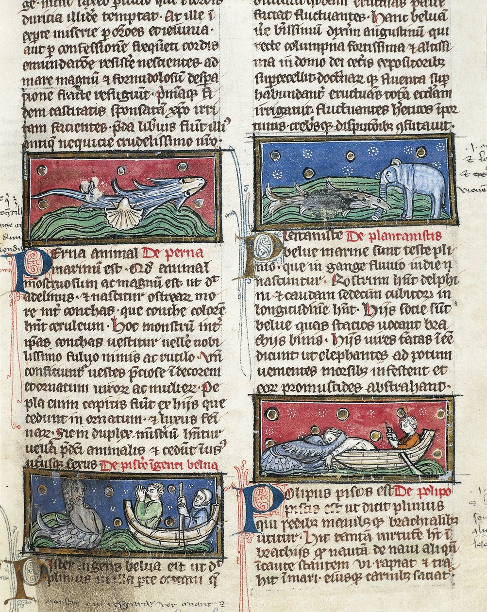 Ms 320 Fol.116 Sea Monsters, z „The Nature of Things“ od Thomase van Cantimpre (1201-72) (na pergamenu) od French School