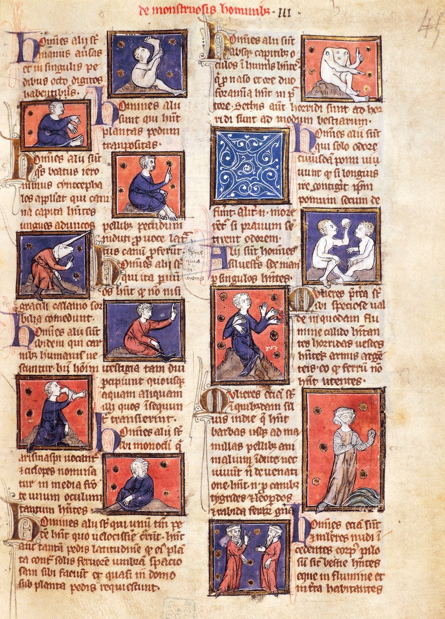 Monsters Ms 320 Fol.45r, z „The Nature of Things“ od Thomase van Cantimpre (1201-72) (na pergamenu) od French School
