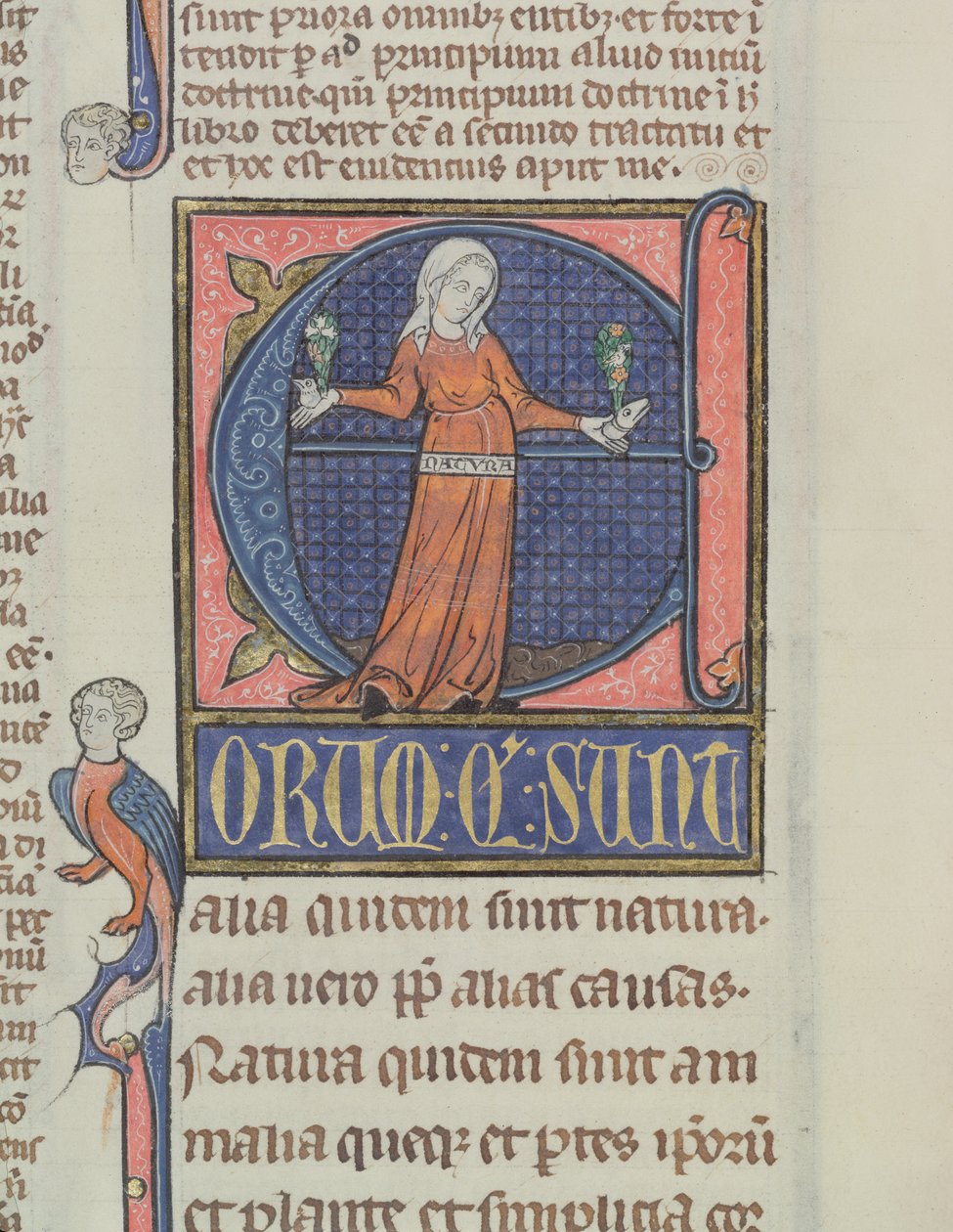 Ms 3469 Historická iniciála E se znázorněním přírody, z fyziky od Aristotela (384–322 př. n. l.) (pero, inkoust a tempera na pergamenu) od French School
