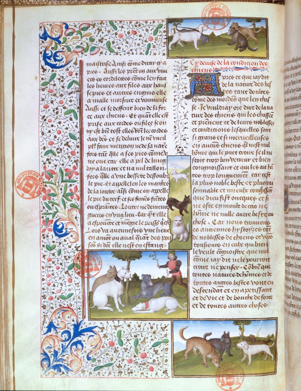 Ms 3717 Lovečtí psi, z Livre de la Chasse od Gastona Phebuse de Foix (1331-91) (vellum) od French School