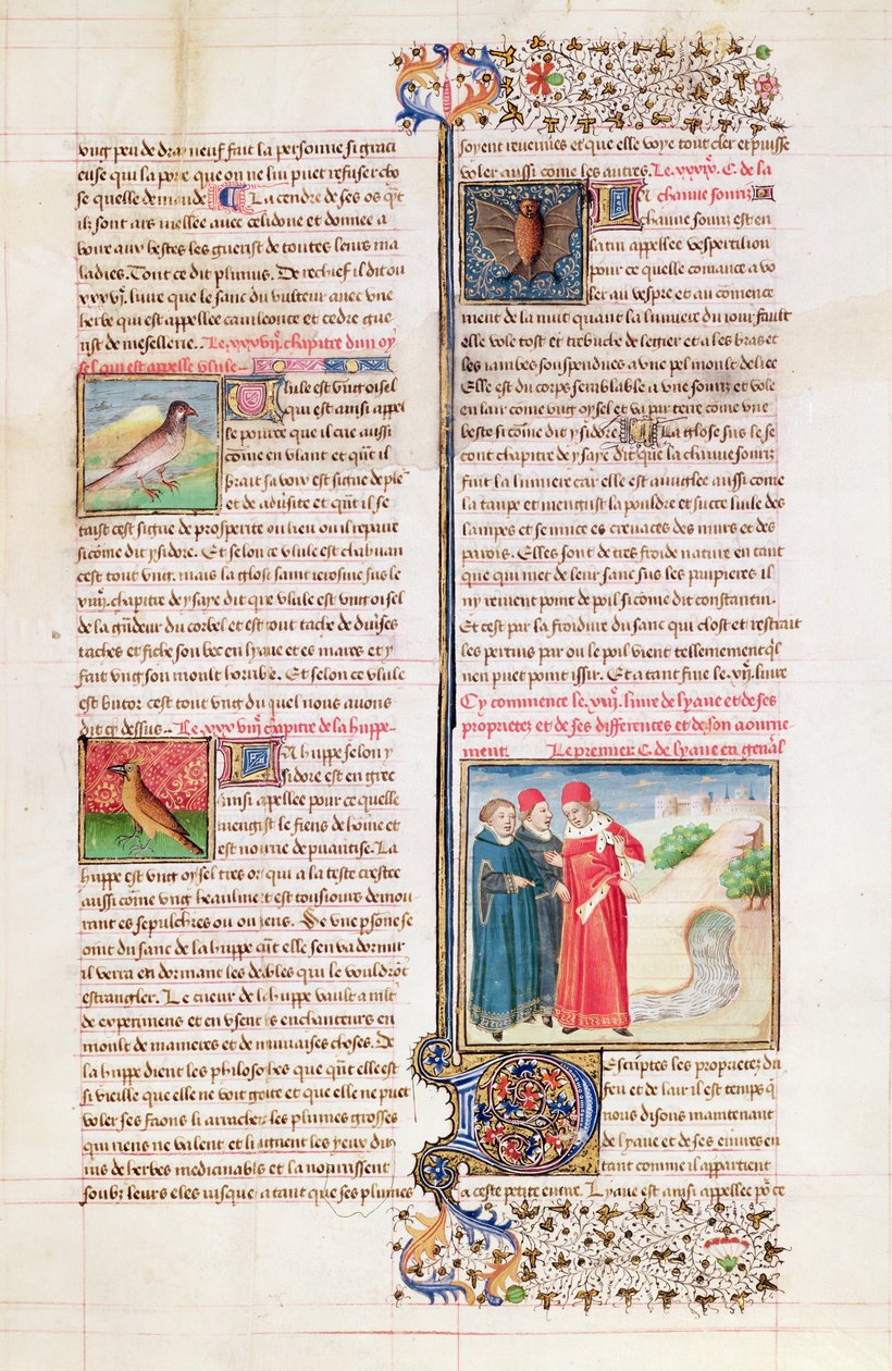 Ms 399 fol. 149 Vlastnosti želvy, dudek a netopýra, z „Livre des Proprietes des Choses“ od Barthelemyho Angličana od French School