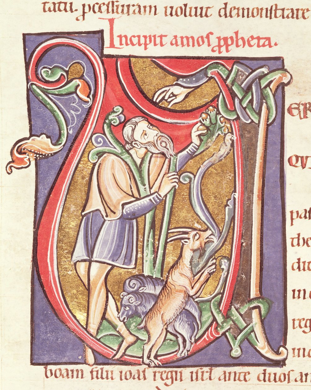 Ms 3 fol.234v Historizovaná iniciála V s vyobrazením Ámose z Bible de Saint-Sulpice de Bourges. od French School