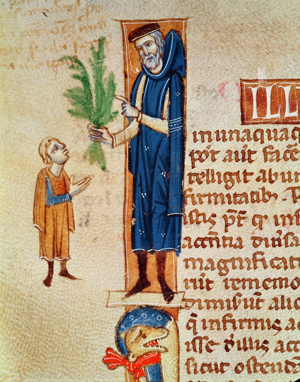 Ms 413 f.92v Medicinal Plants, ilustrace z Traite de Medecine od Claudia Galena (c.130-c.201) přeložil Gerard de Cremone (1114-87) od French School