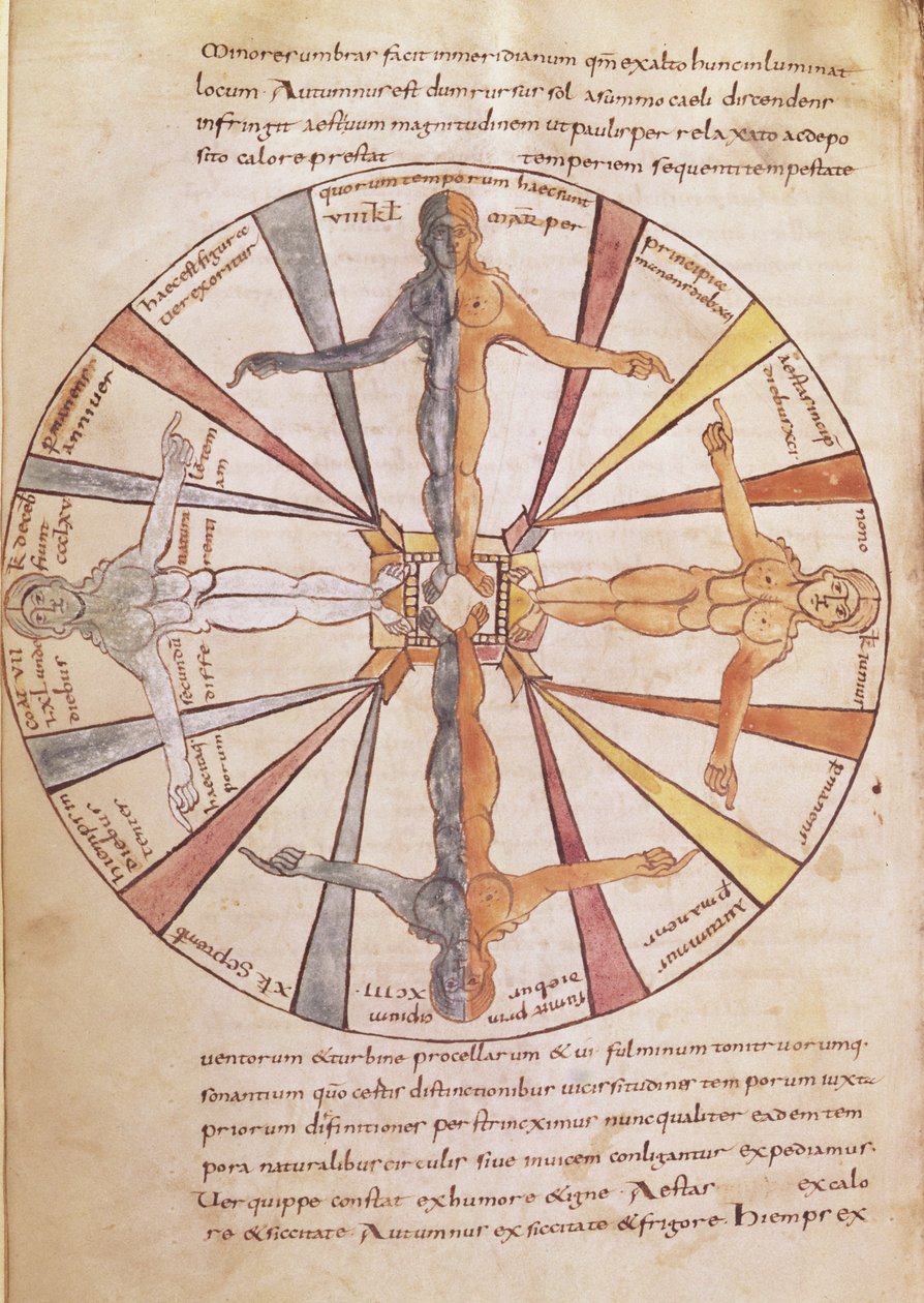 Ms 422 fol.6v Kolo ročních období a měsíců, z De Natura Rerum od sv. Isidora ze Sevilly od French School