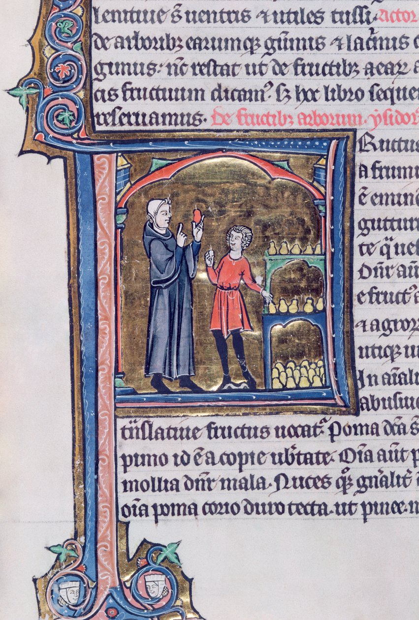 Ms 426 fol. 135 Výuka nejlepšího způsobu uchování hrušek, z Le Miroir de la Nature od Vincenta de Beauvais od French School
