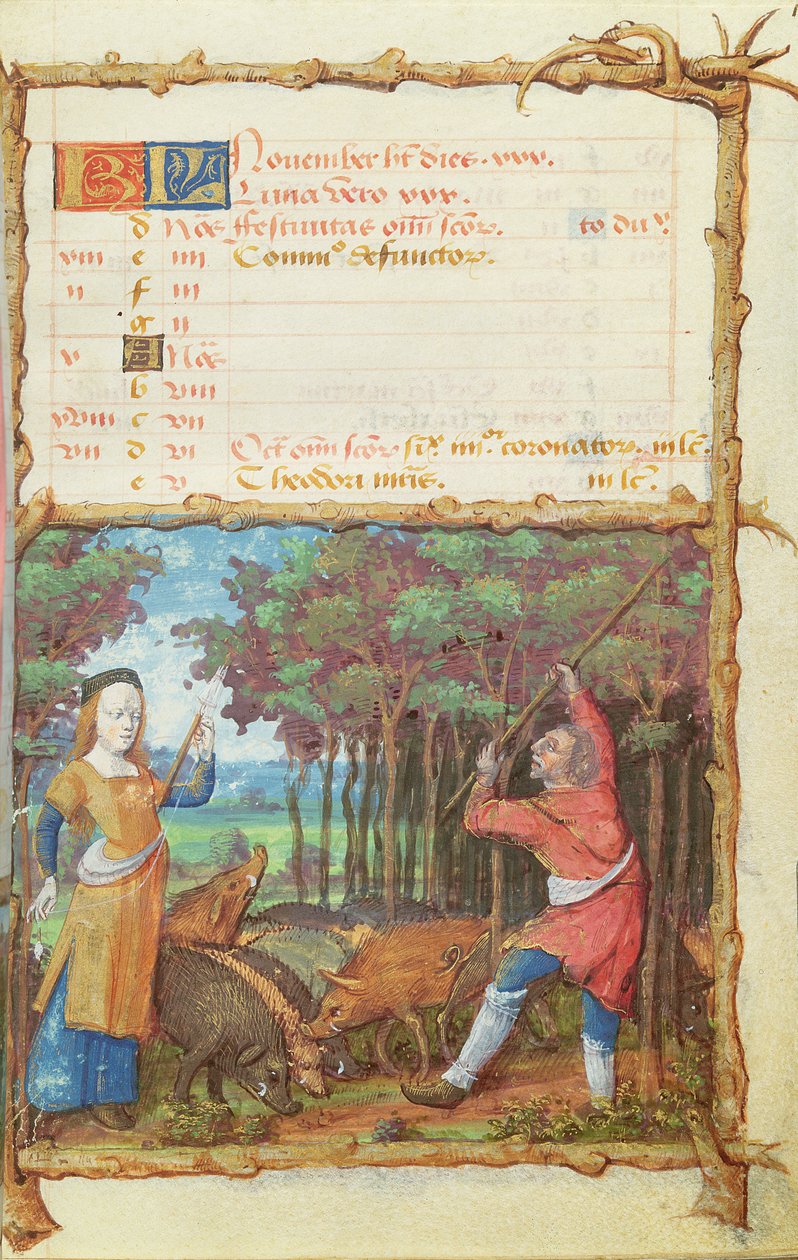 Ms 438 Měsíc listopadu: Sbírání žaludů, z knihy hodin, 1490 od French School
