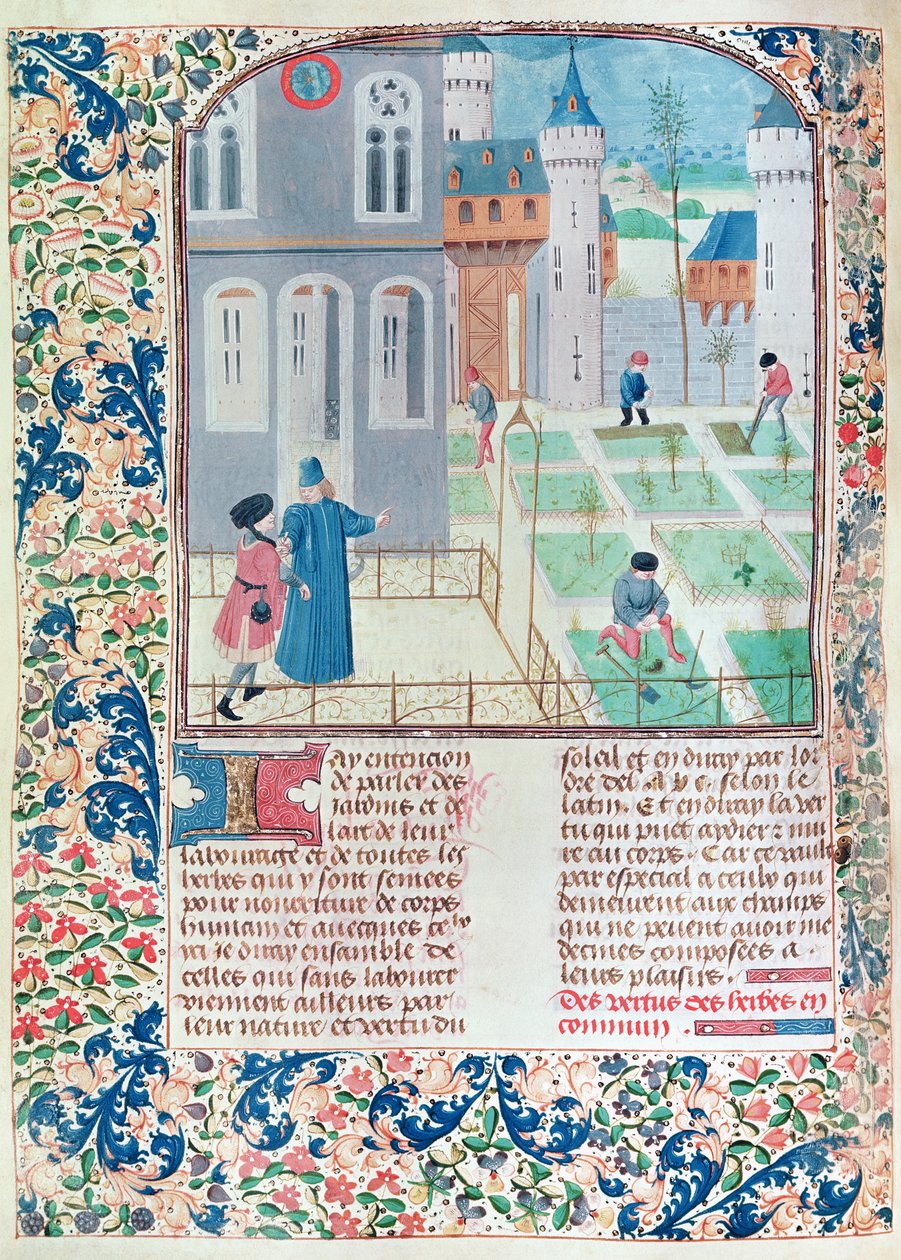 Ms 5064 f.151v The Garden, ilustrace z Le Livre des Prouffitz Champestres od Pietra de Crescenzi (1230-132021) od French School