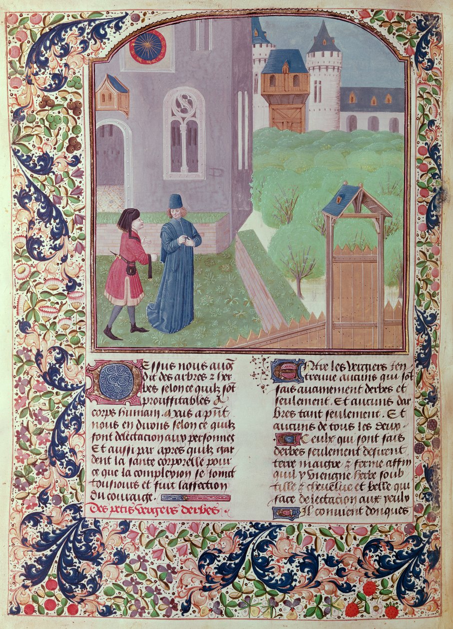 Ms 5064 f.202v The Orchard, ilustrace z Le Livre des Prouffitz Champestres od Pietra de Crescenzi (1230-132021) od French School
