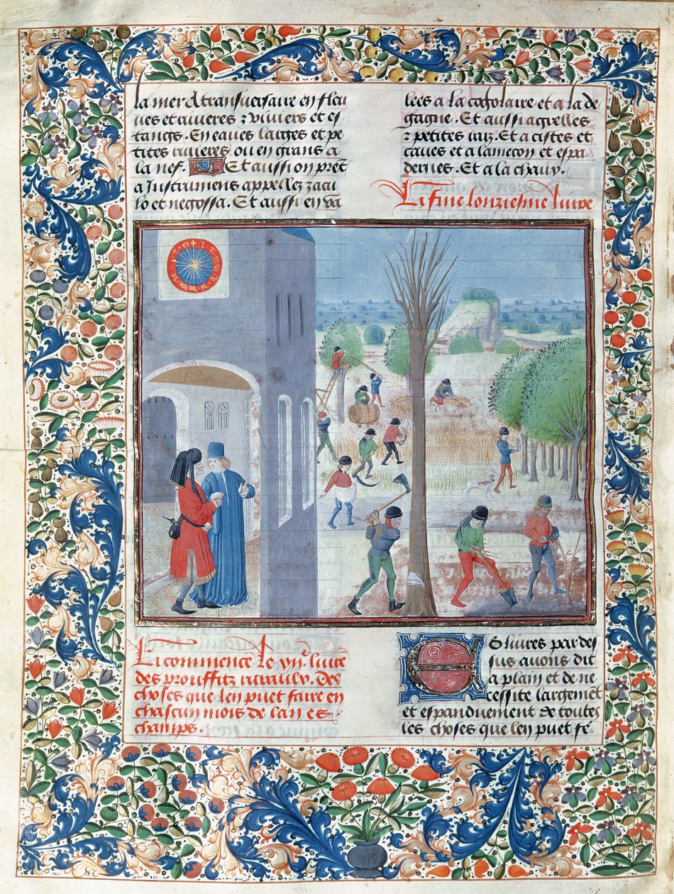 Ms 5064 f.299v Povolání pro každý měsíc v roce, ilustrace z Le Livre des Prouffitz Champestres od Pietra de Crescenzi (1230-132021) od French School