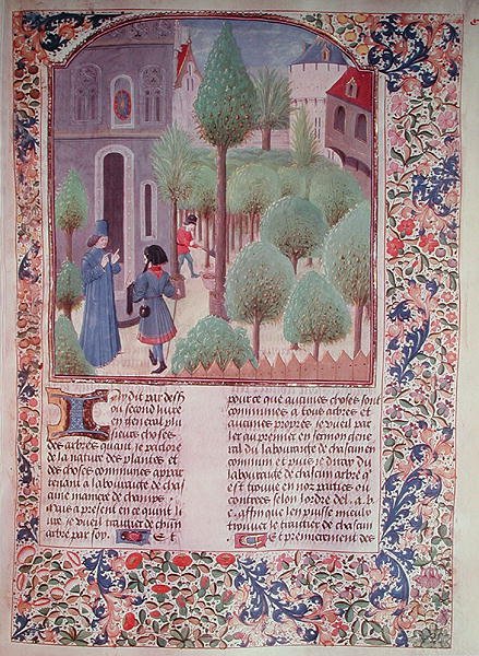 Ms 5064 fol.105r Výsadba stromů, z Livre des Prouffitz Champestres od Pietra de Crescenzi (1230-132021) od French School