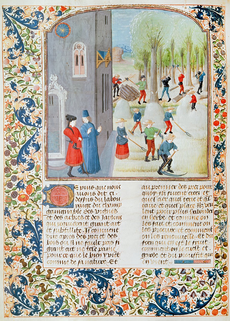 Ms 5064 fol.198v Řezání stromů a sklizeň, z Livre des Prouffitz Champestres od Pietra de Crescenzi (1230-132021) od French School