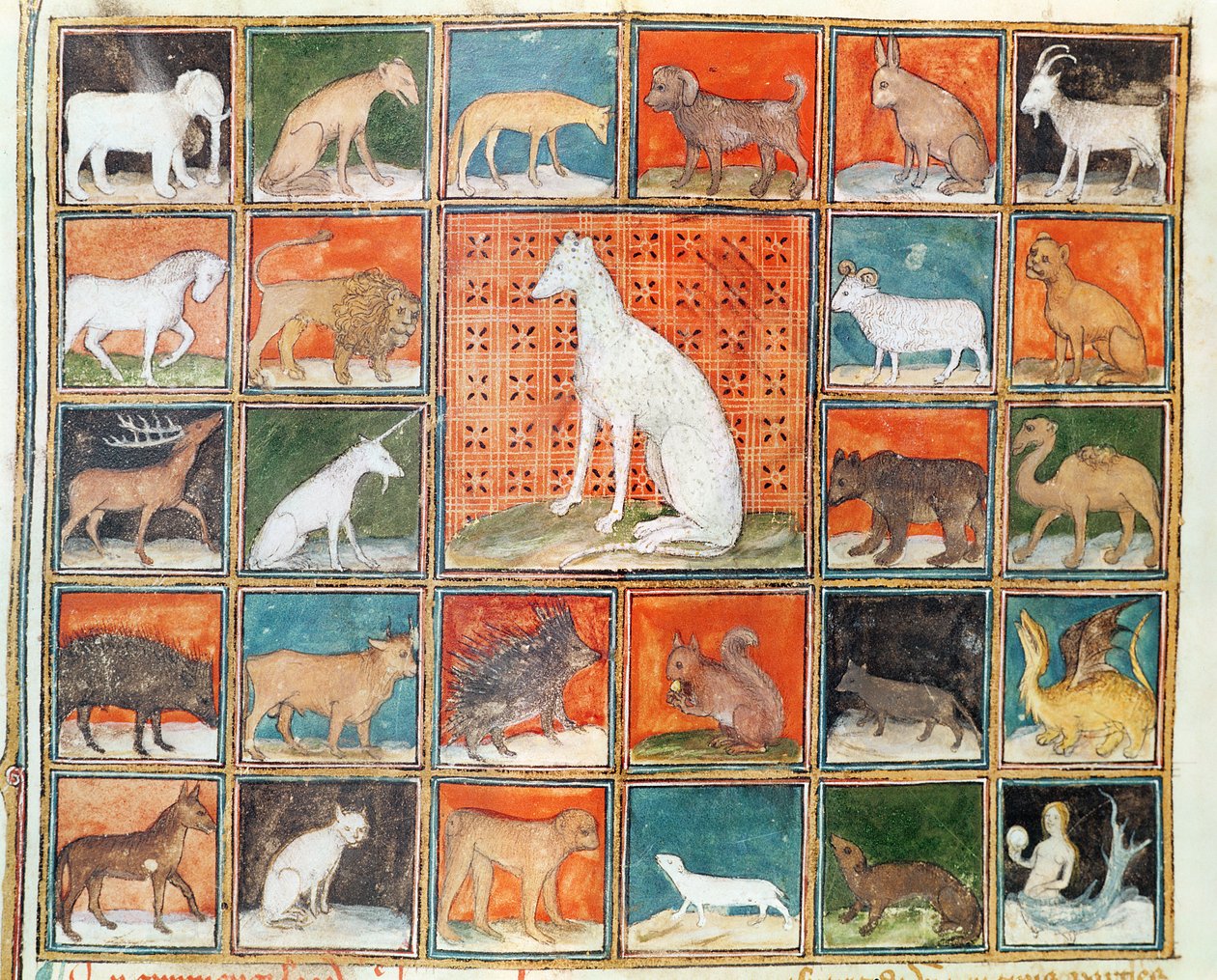 Ms 993 fol.254v Vlastnosti zvířat: Z knihy Le Livre des Proprietes des Choses od Jeana Cordichona. od French School