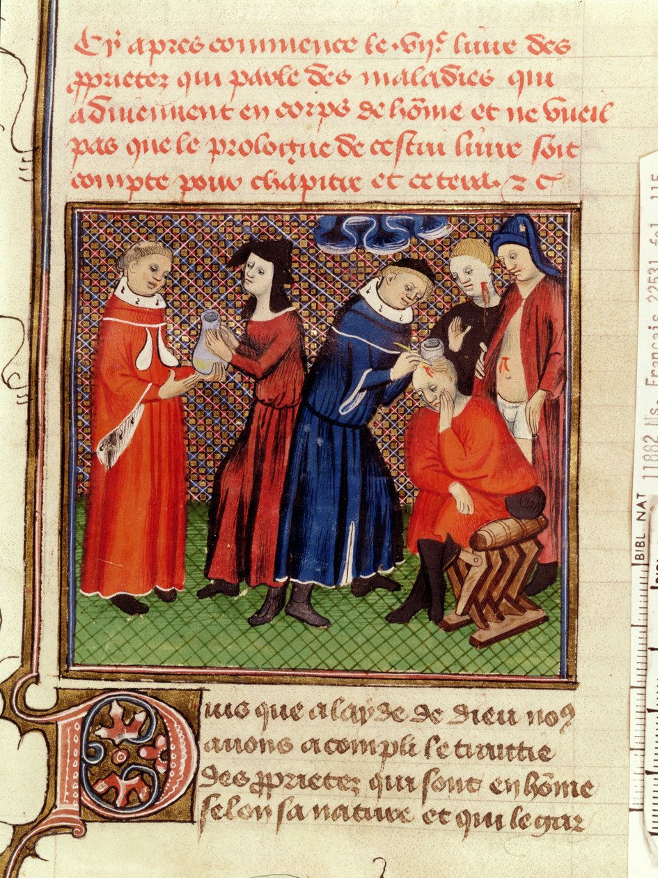 Ms Fr 22531 Fol.115 Vyšetření moči a hojení ran, z knihy Le Livre des Proprietes des Choses od Barthelemyho lAnglais, asi 1410-15 od French School